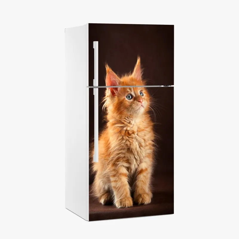 Kühlschrankaufkleber tropische blätter und zitrus illustration – Wallnifity®