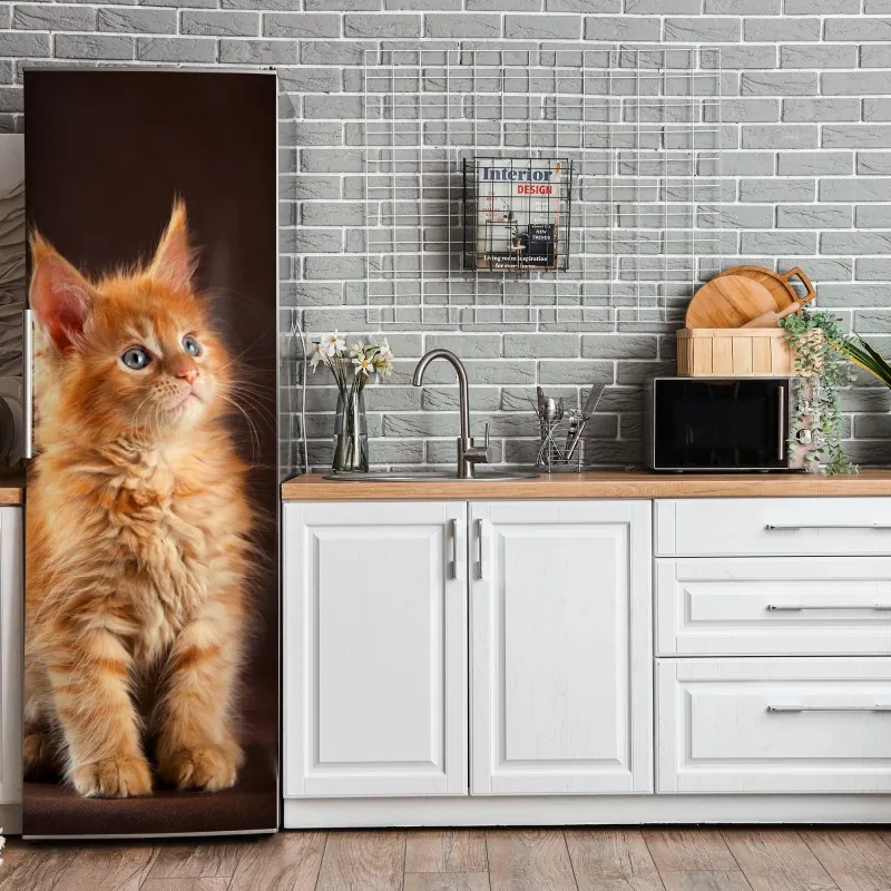 Kühlschrankaufkleber tropische blätter und zitrus illustration – Wallnifity®
