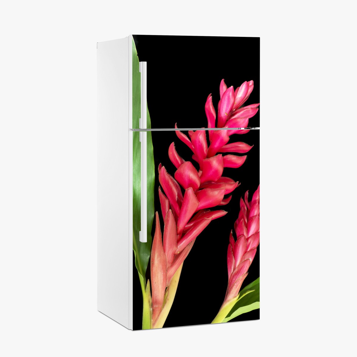 Kühlschrankaufkleber leuchtende zier-ingwer-blüte auf schwarzem hintergrund – Wallnifity®