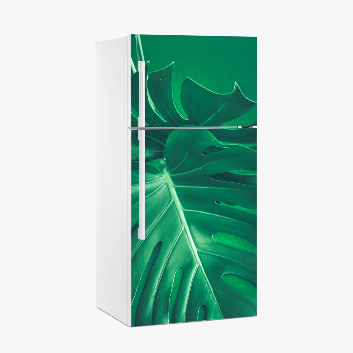Kühlschrankaufkleber prächtiges monstera-blatt nahaufnahme – Wallnifity®