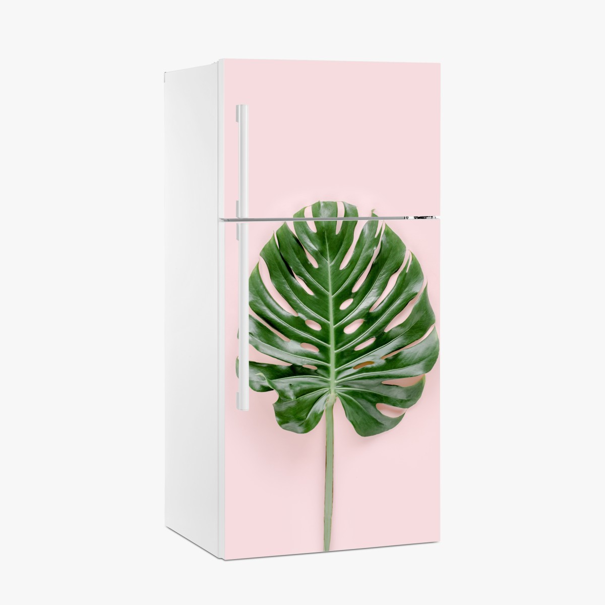 Kühlschrankaufkleber monstera-blatt auf pastell-rosa hintergrund – Wallnifity®