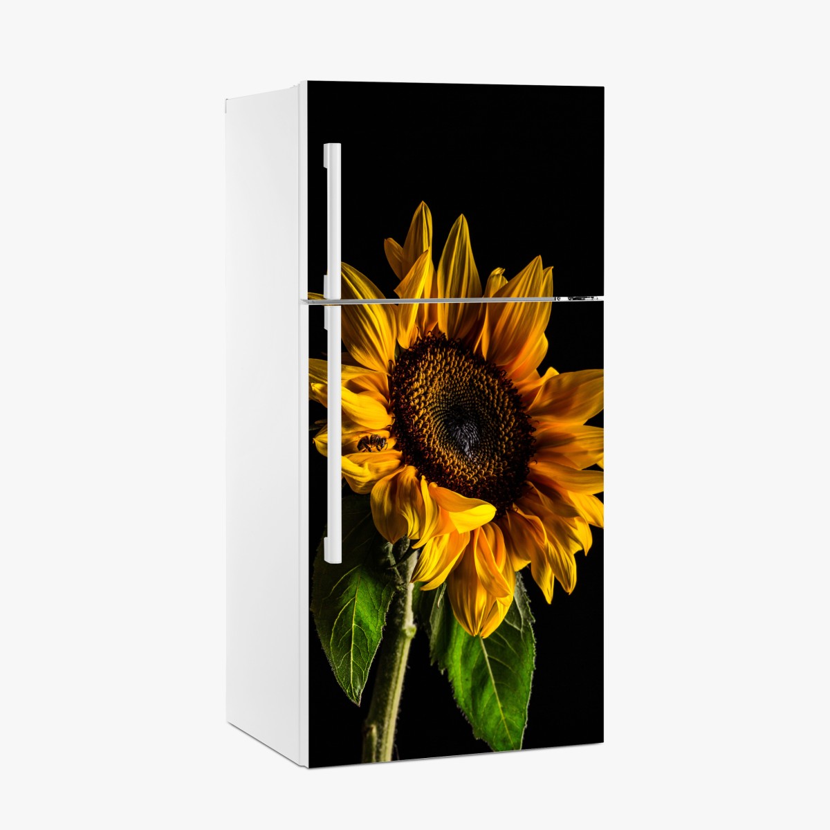 Kühlschrankaufkleber goldene sonnenblume in nahaufnahme – Wallnifity®
