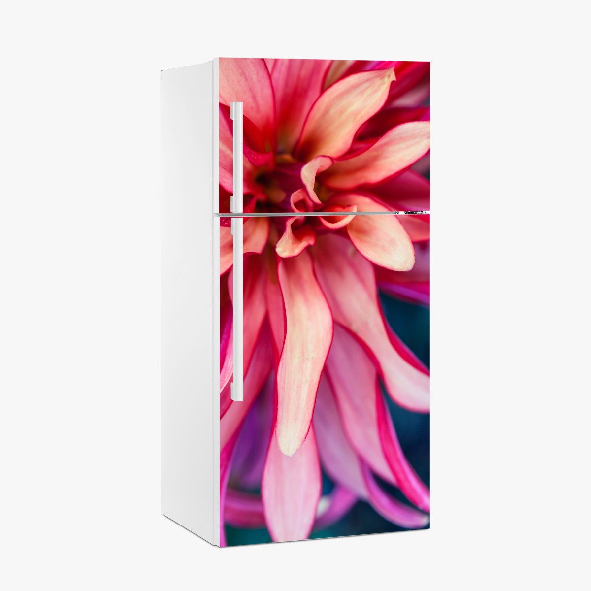 Kühlschrankaufkleber vibrantes rosa blütenmakro – Wallnifity®