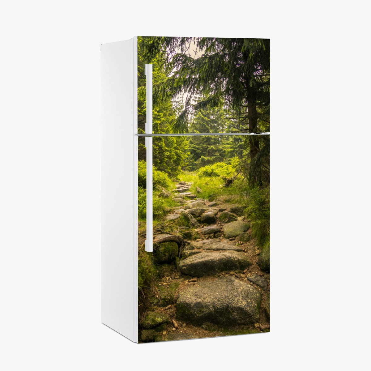 Kühlschrankaufkleber ruhiger waldweg durch nadelwald – Wallnifity®