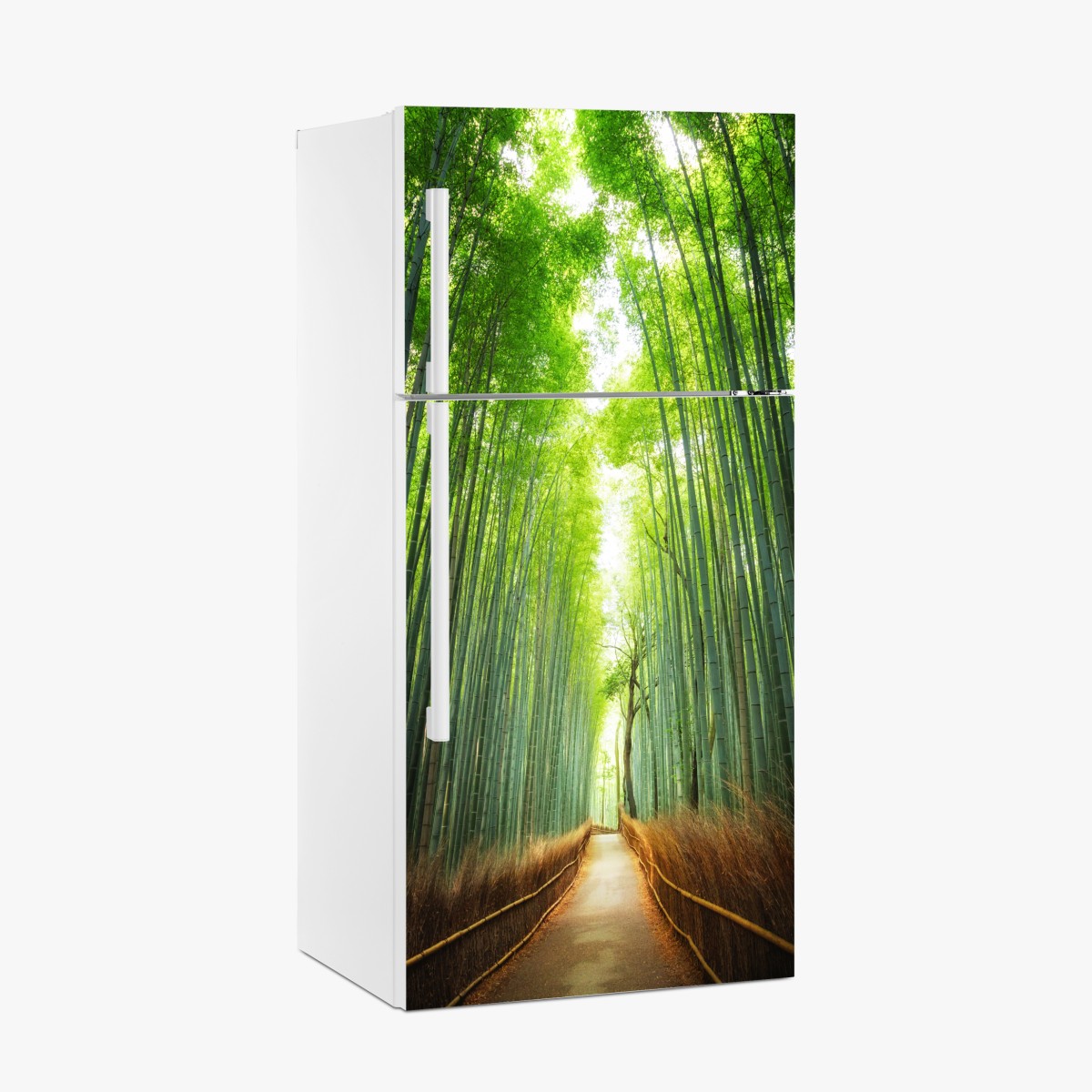 Kühlschrankaufkleber weg durch den bambushain von Arashiyama – Wallnifity®