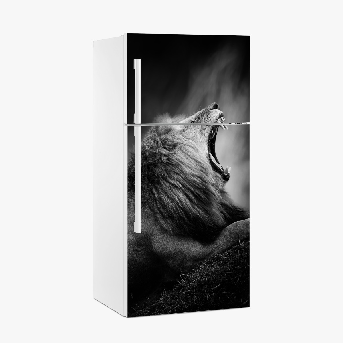 Kühlschrankaufkleber majestätischer brüllender löwe in monochrom – Wallnifity®