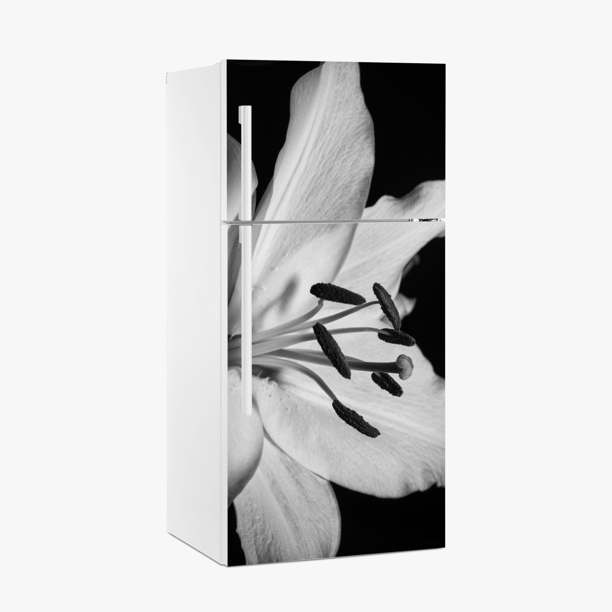 Kühlschrankaufkleber monochrome lilie nahaufnahme – Wallnifity®