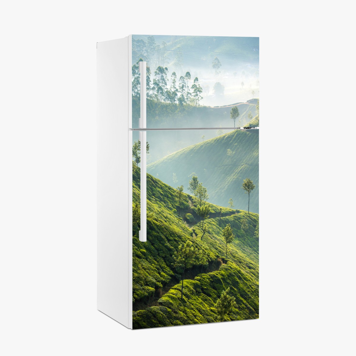 Kühlschrankaufkleber neblige teeplantagen auf den hügeln von Munnar – Wallnifity®