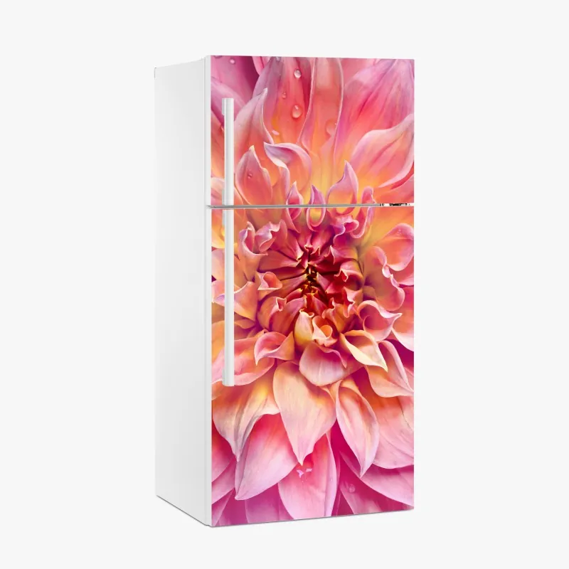 Kühlschrankaufkleber rosa dahlie nahaufnahme