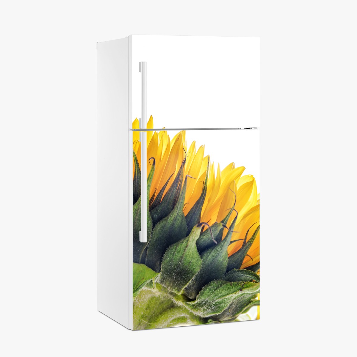 Kühlschrankaufkleber sonnenblume in der ecke auf weißem hintergrund – Wallnifity®