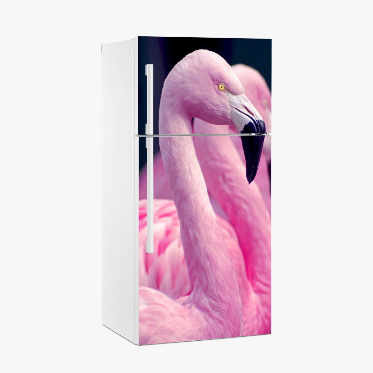 Kühlschrankaufkleber anmutiges rosa flamingo-porträt – Wallnifity®