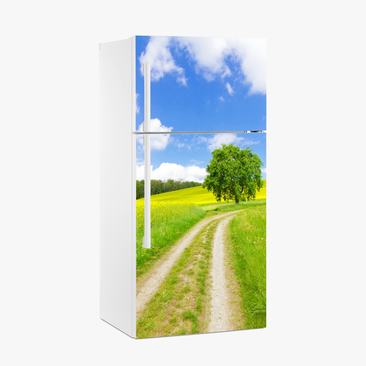 Kühlschrankaufkleber sonniger feldweg mit einsamem baum – Wallnifity®
