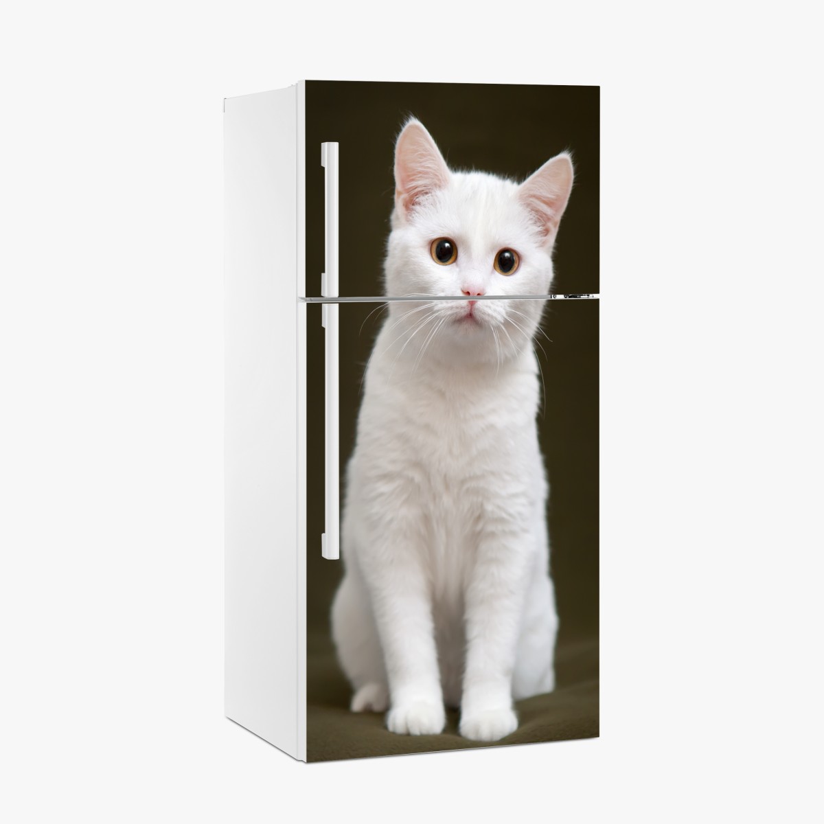 Kühlschrankaufkleber niedliches porträt einer weißen katze – Wallnifity®