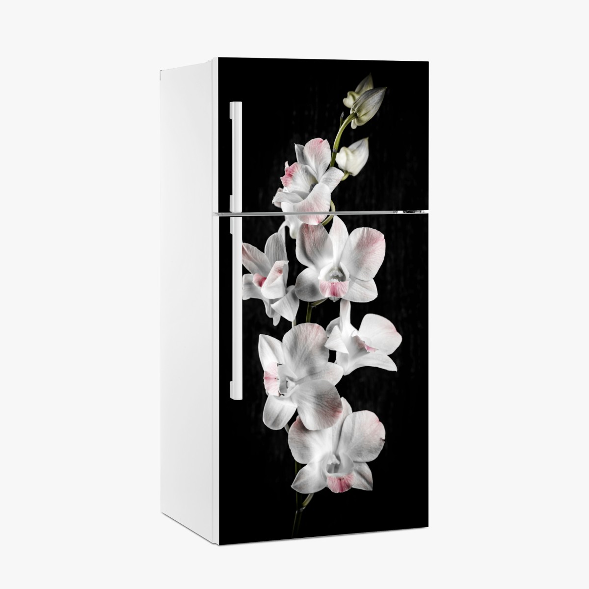Kühlschrankaufkleber weiße und rosa orchidee vor schwarzem hintergrund – Wallnifity®