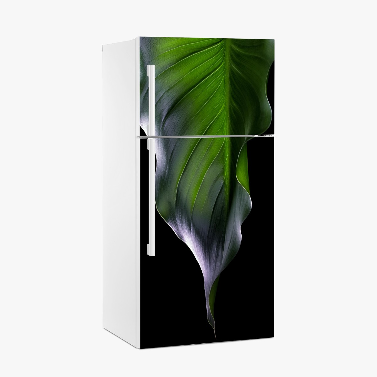 Kühlschrankaufkleber elegantes grünes blatt auf schwarzem hintergrund – Wallnifity®