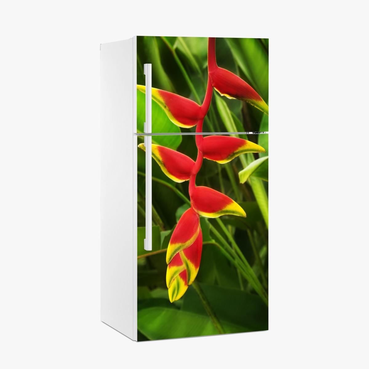 Kühlschrankaufkleber leuchtende heliconia im tropischen laub – Wallnifity®