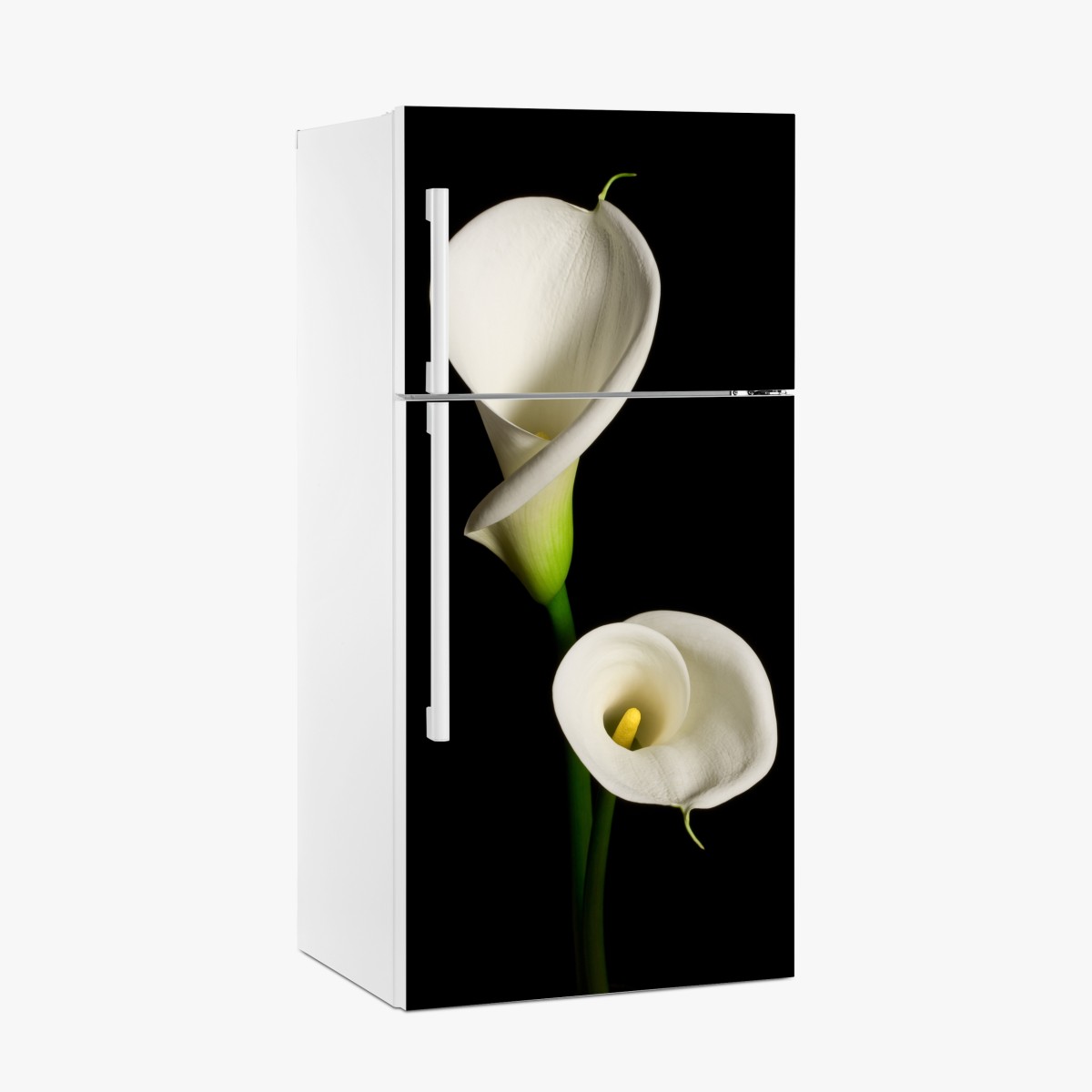 Kühlschrankaufkleber weiße calla vor schwarzem hintergrund – Wallnifity®