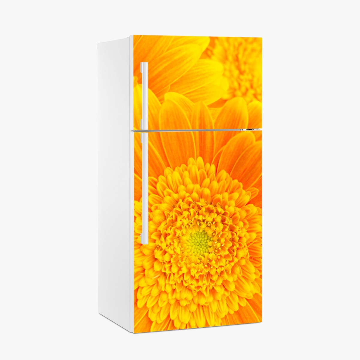 Kühlschrankaufkleber intensive orange gerbera nahaufnahme – Wallnifity®
