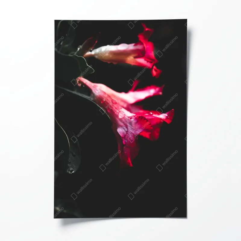 Poster herbstliche vogelbeeren im weidenkorb – Wallnifity®