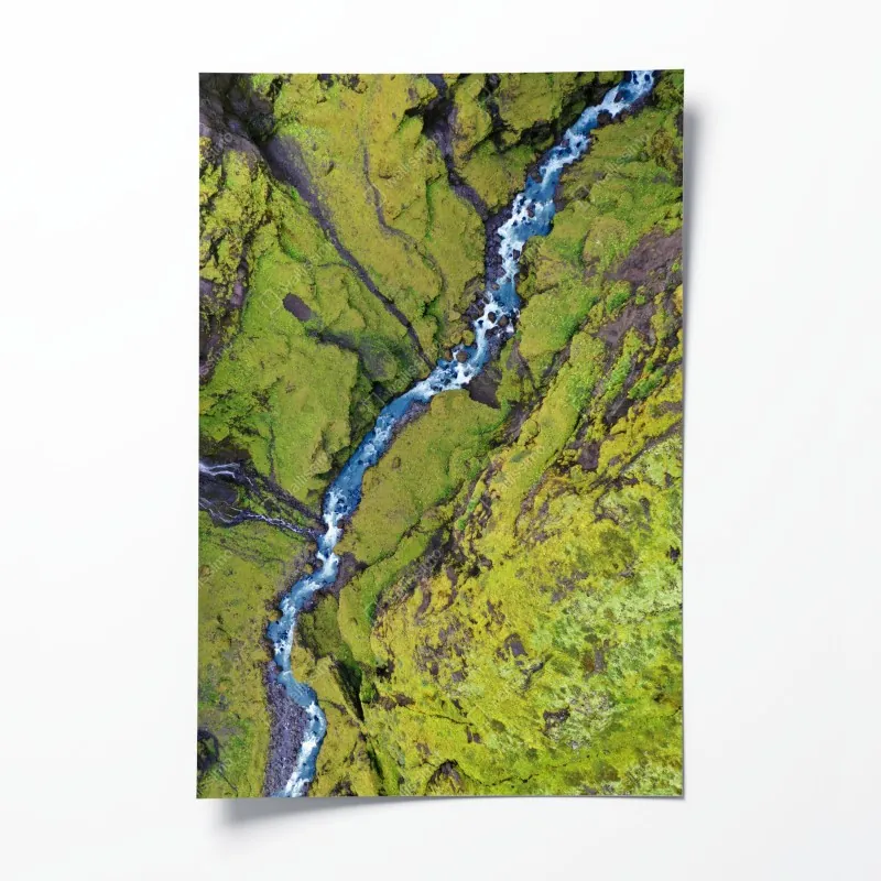 Poster eukalyptus aquarell botanisches muster auf dunklem hintergrund – Wallnifity®