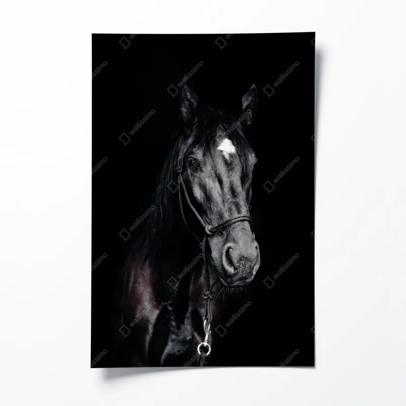 Poster eukalyptus aquarell botanisches muster auf dunklem hintergrund – Wallnifity®