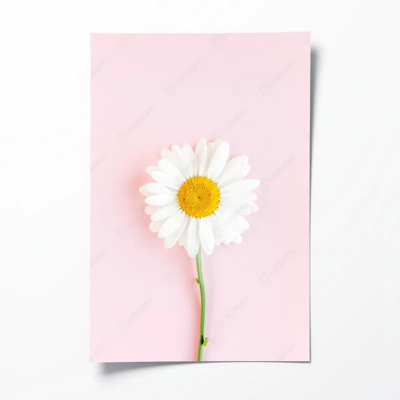 Poster türkisfarbenes küstenpanorama – Wallnifity®