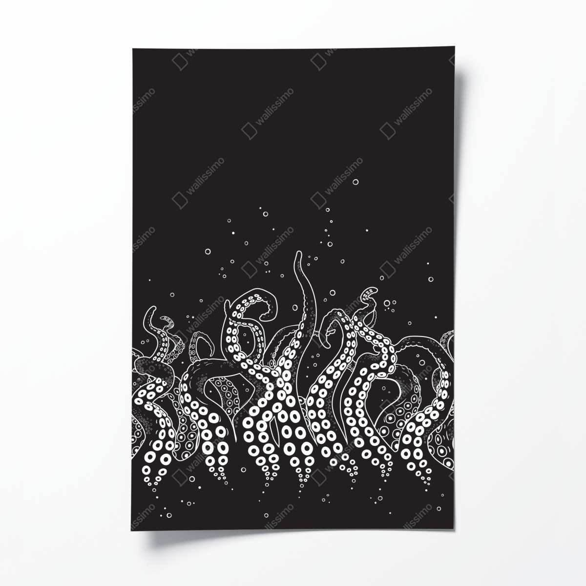 Poster oktopus tentakel muster – Wallnifity®