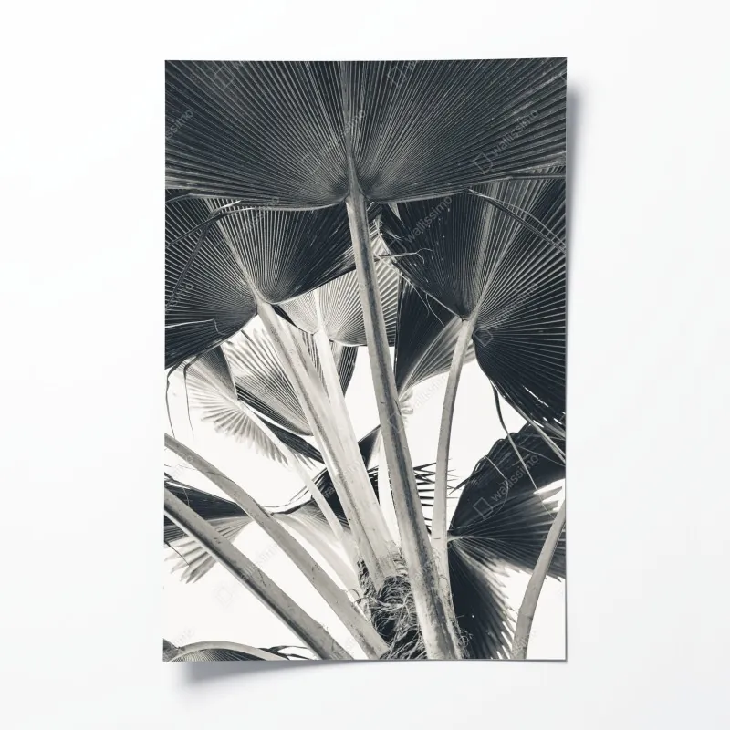 Poster über den wolken luftaufnahme – Wallnifity®