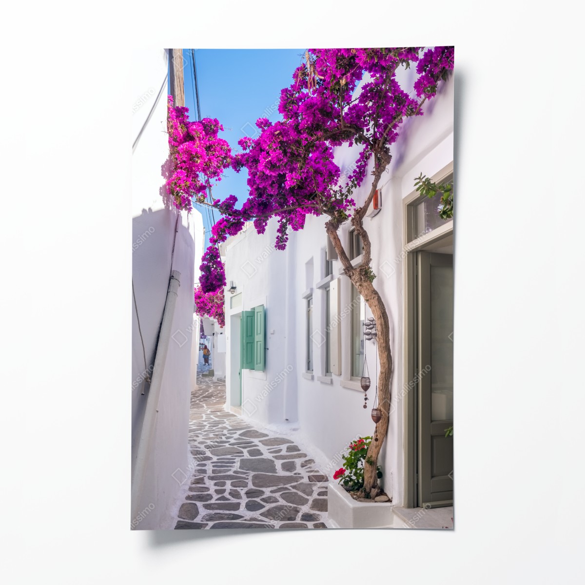 Poster sonnige mediterrane gasse mit bougainvillea – Wallnifity®