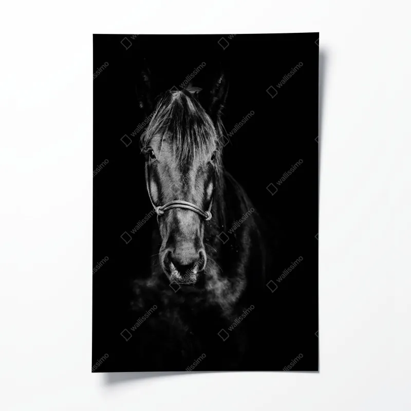 Poster eisberg und bergreflexionen in türkisfarbenem wasser – Wallnifity®