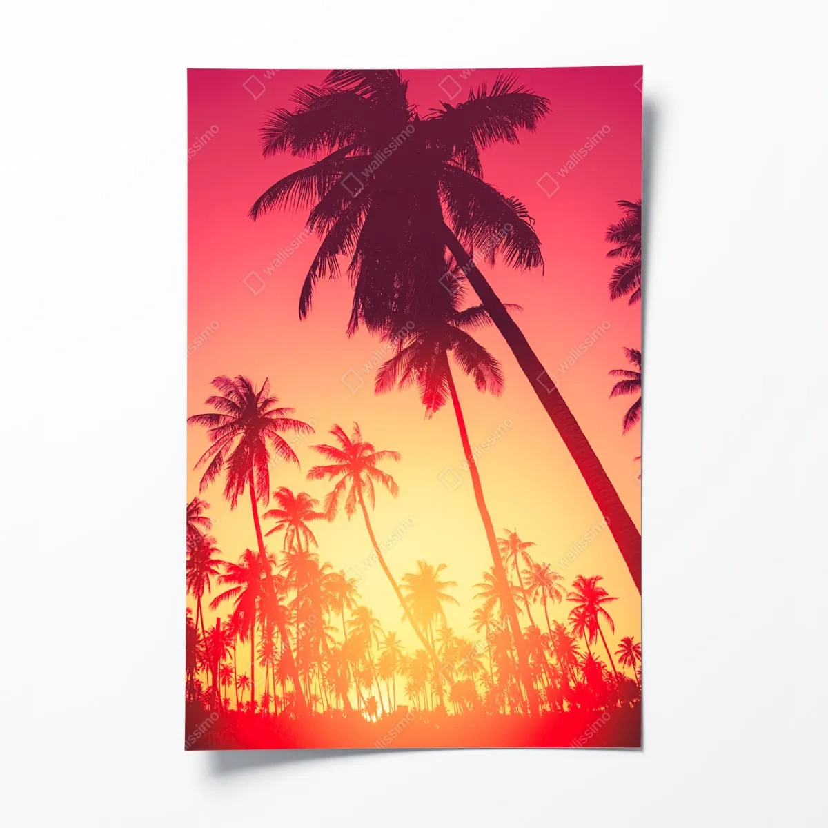 Poster tropischer sonnenuntergang mit palmen – Wallnifity®