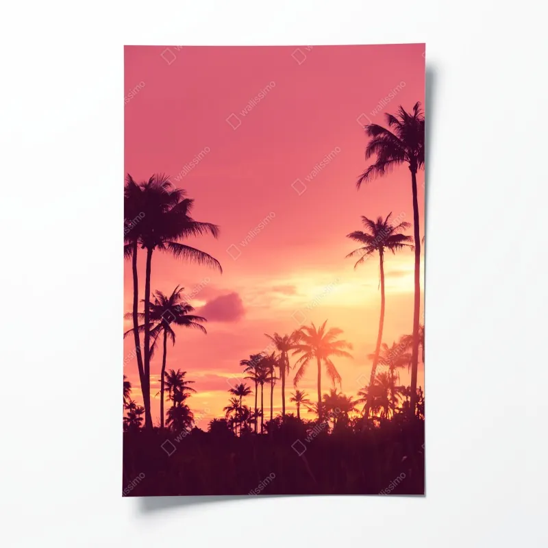 Poster ruhiger steg am see in schwarzweiß – Wallnifity®