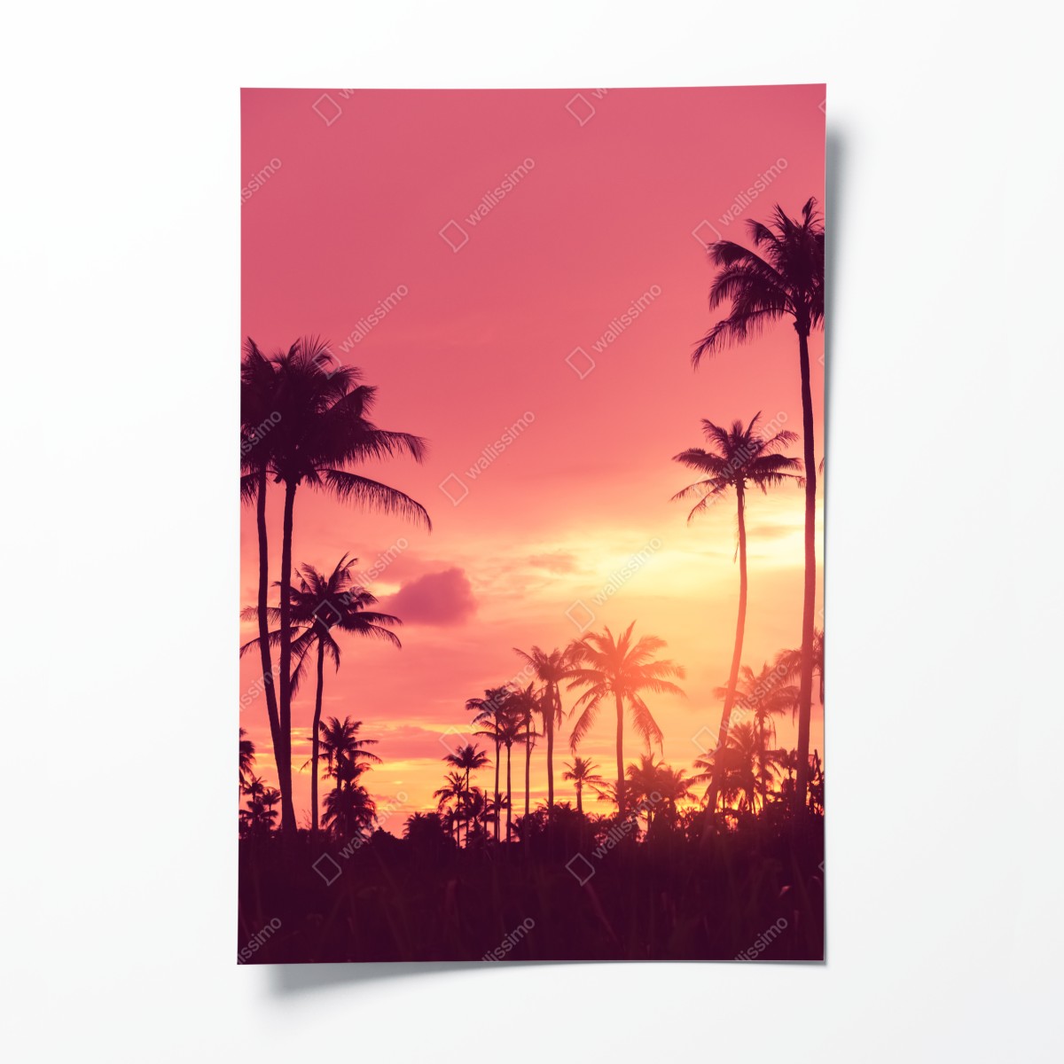 Poster rosa tropischer sonnenuntergang mit palmen – Wallnifity®
