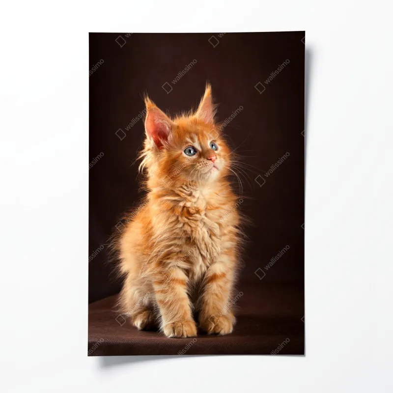 Poster geometrisches labyrinthmuster in beige und schwarz – Wallnifity®