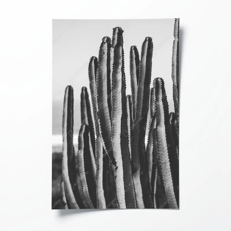 Poster Las Vegas skyline bei nacht – Wallnifity®