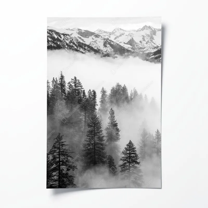 Poster tropischer sonnenuntergang mit palmen, Thailand – Wallnifity®