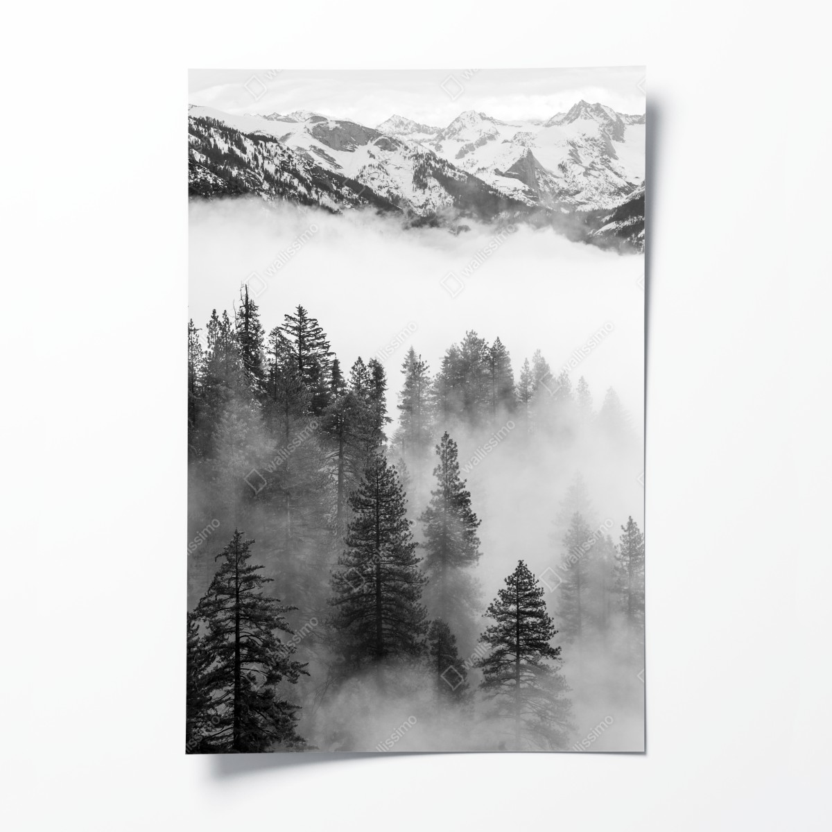 Poster nebliger Giant Forest, Sequoia National Park – Wallnifity®