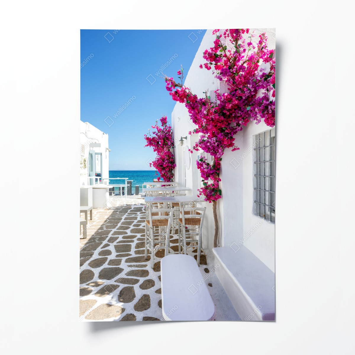 Poster sonnige mediterrane gasse mit bougainvillea – Wallnifity®