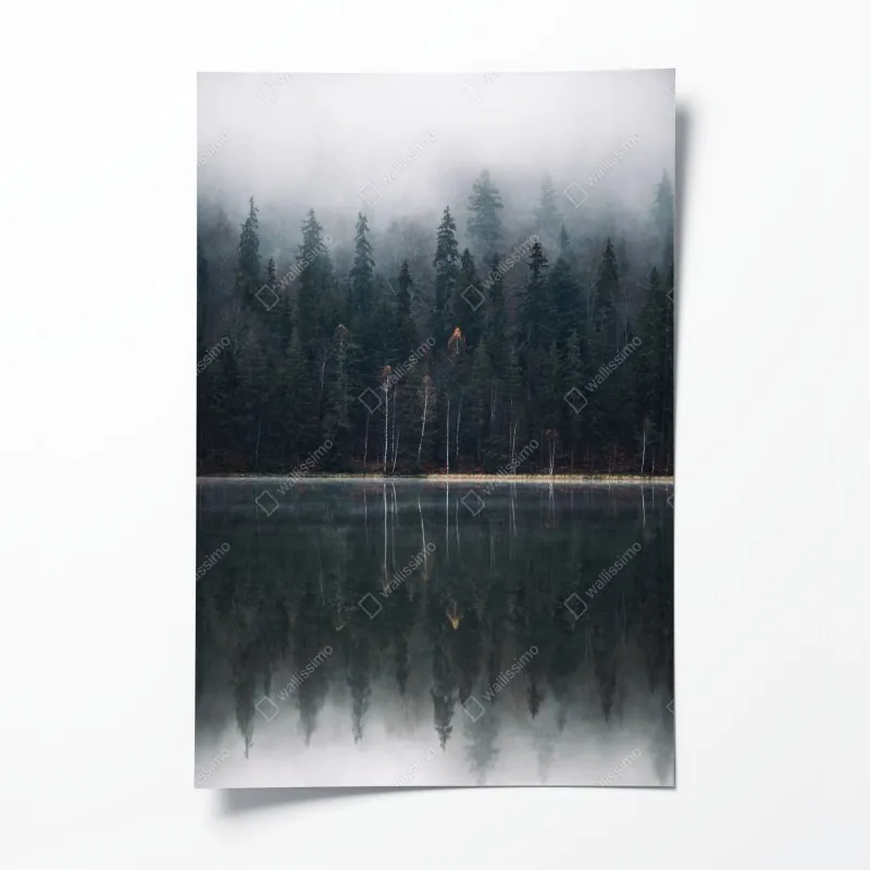 Poster roter fuchs in nebliger landschaft – Wallnifity®