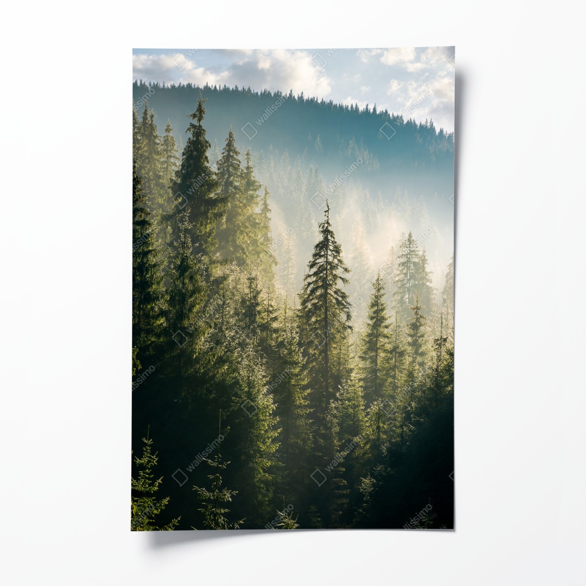 Poster nebliger fichtenwald im morgenlicht – Wallnifity®