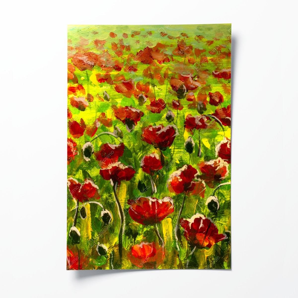 Poster feld roter mohnblumen – Wallnifity®