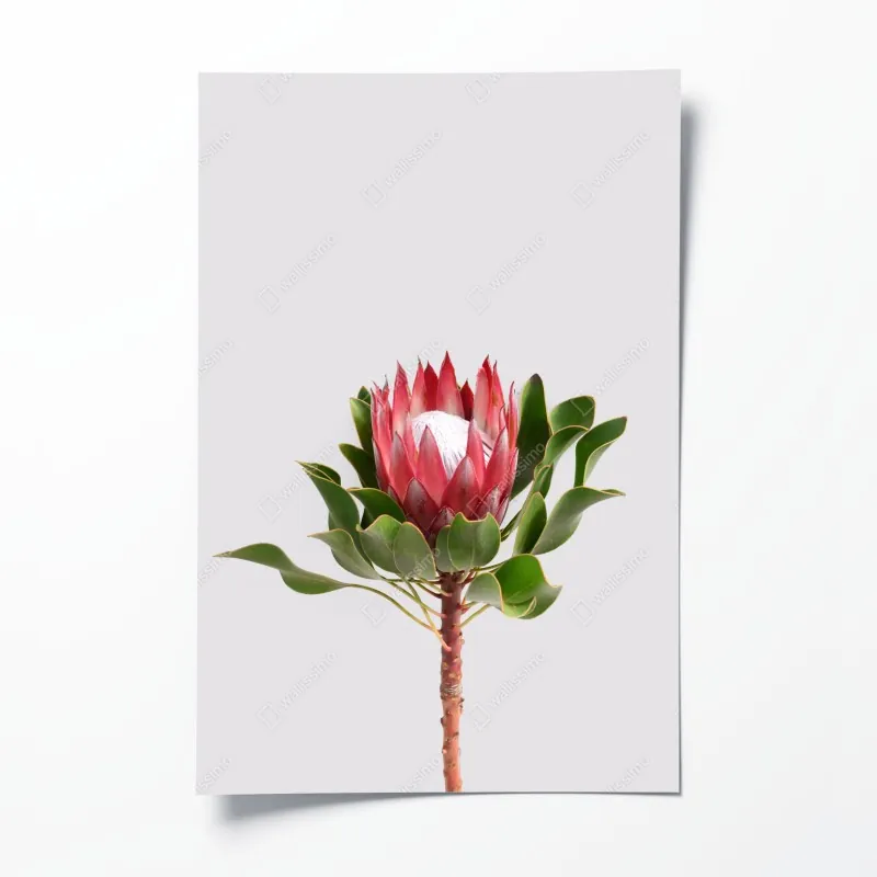 Poster dramatische küstenklippen mit meerblick – Wallnifity®