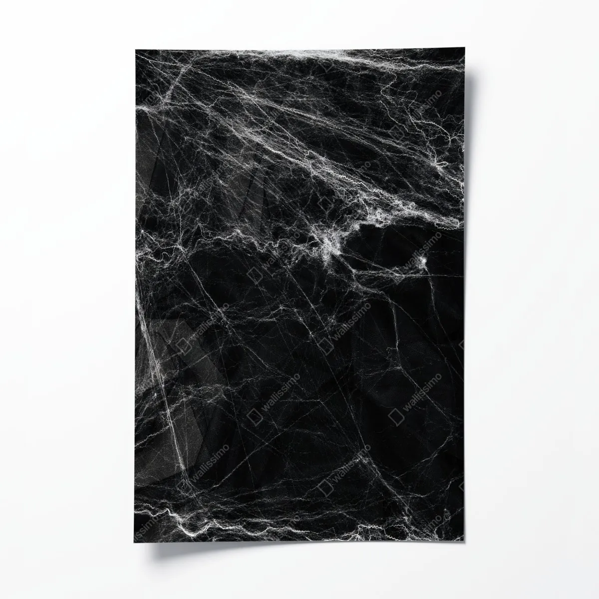 Poster gespenstisches spinnennetz auf schwarzem hintergrund – Wallnifity®