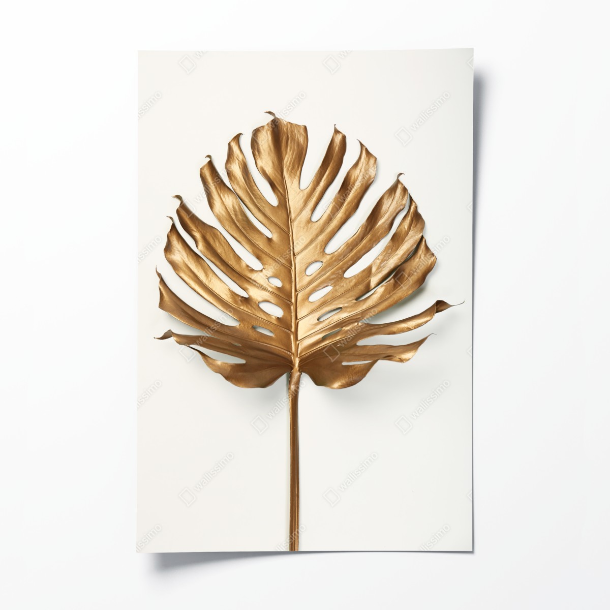 Poster goldenes monstera blatt auf weißem hintergrund – Wallnifity®