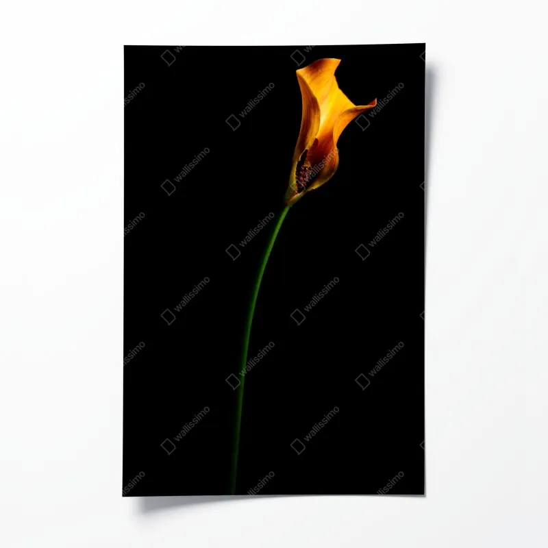 Poster nahaufnahme sonnenblumen- und dahlienstrauß – Wallnifity®