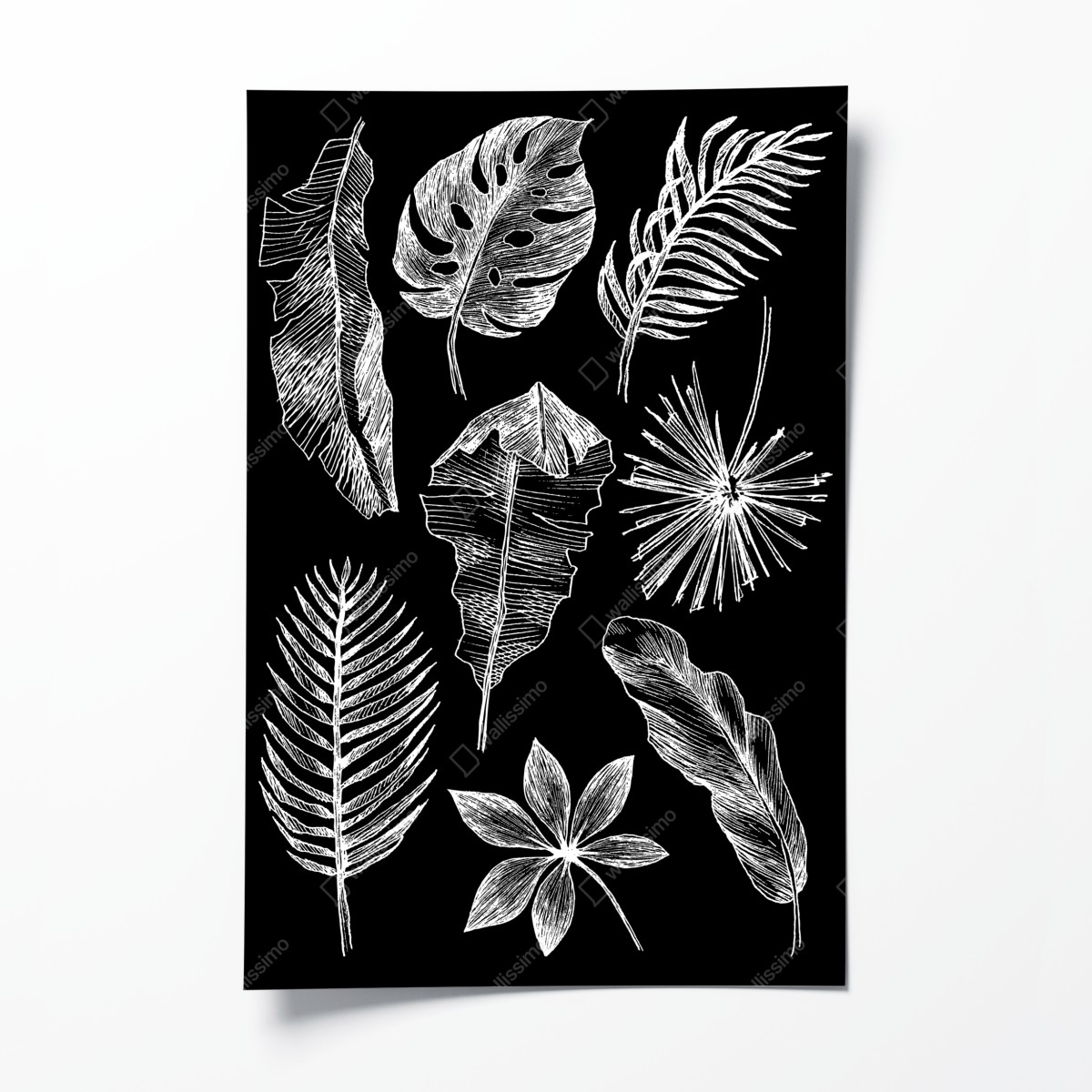 Poster monochrome blattkomposition – Wallnifity®