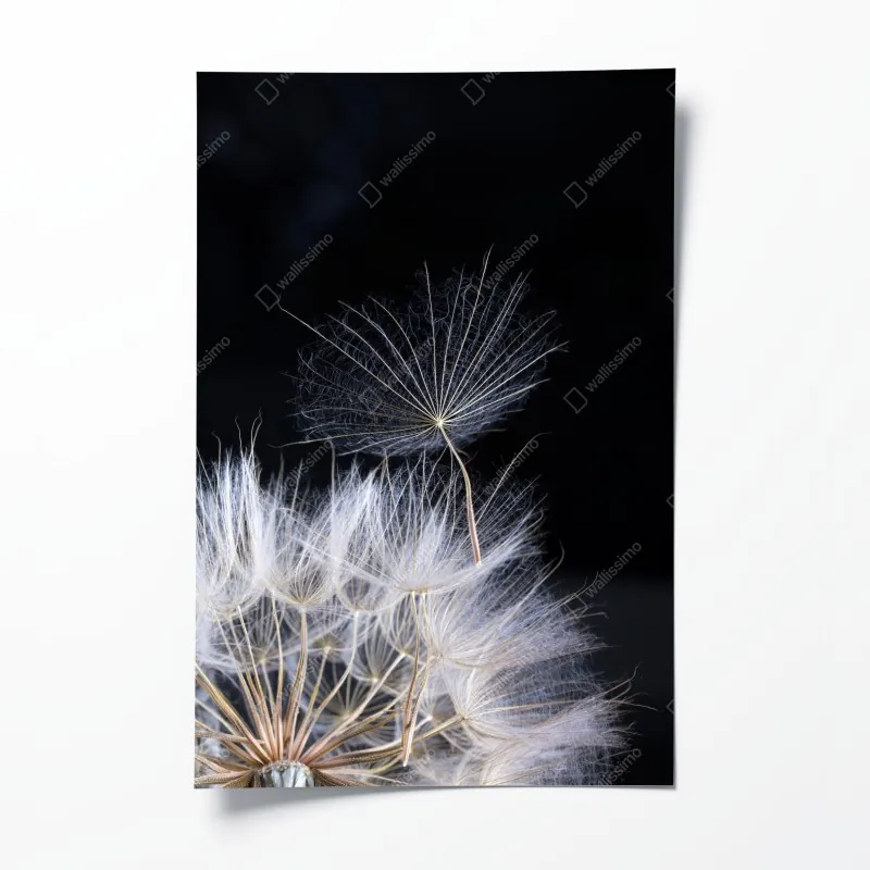 Poster leuchtendes verlauf-wellenmuster – Wallnifity®