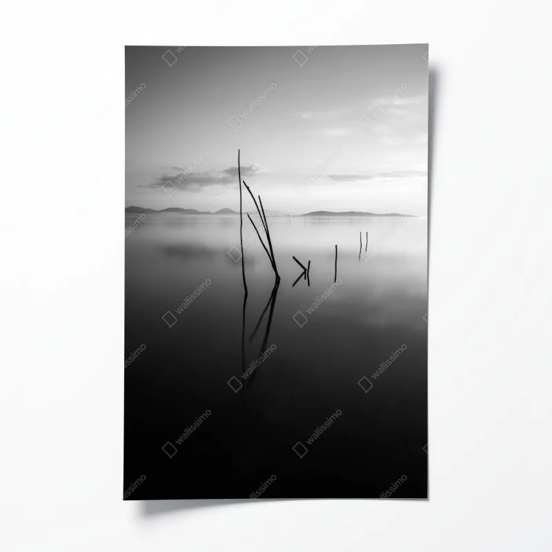 Poster tropischer strand mit palmen und segelboot – Wallnifity®