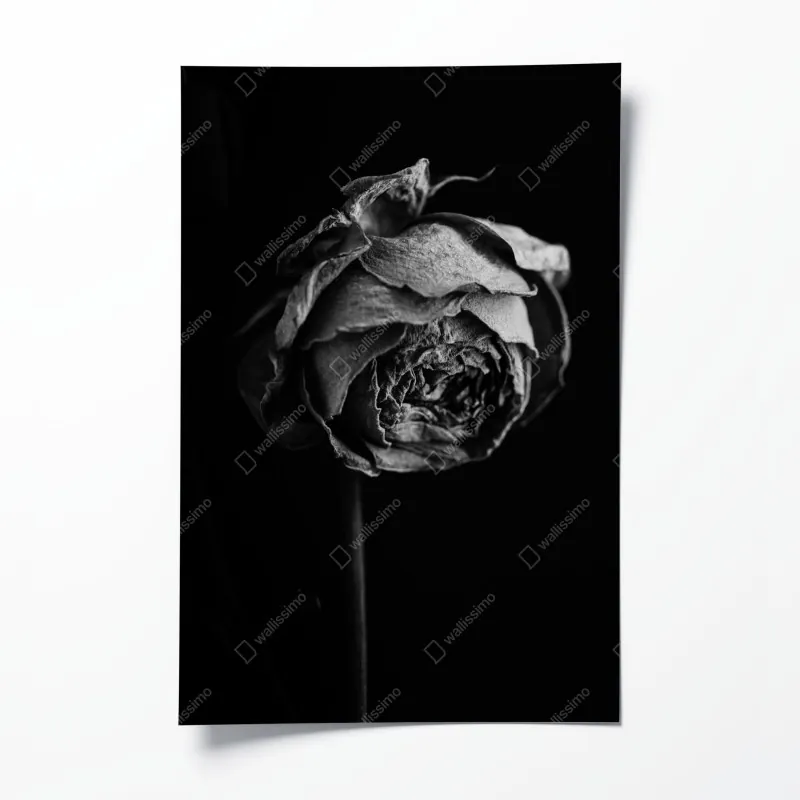 Poster dramatischer schwarzweiß-steg in stürmischer see – Wallnifity®