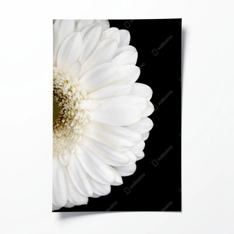 Poster majestätische schneeleoparden im winter – Wallnifity®